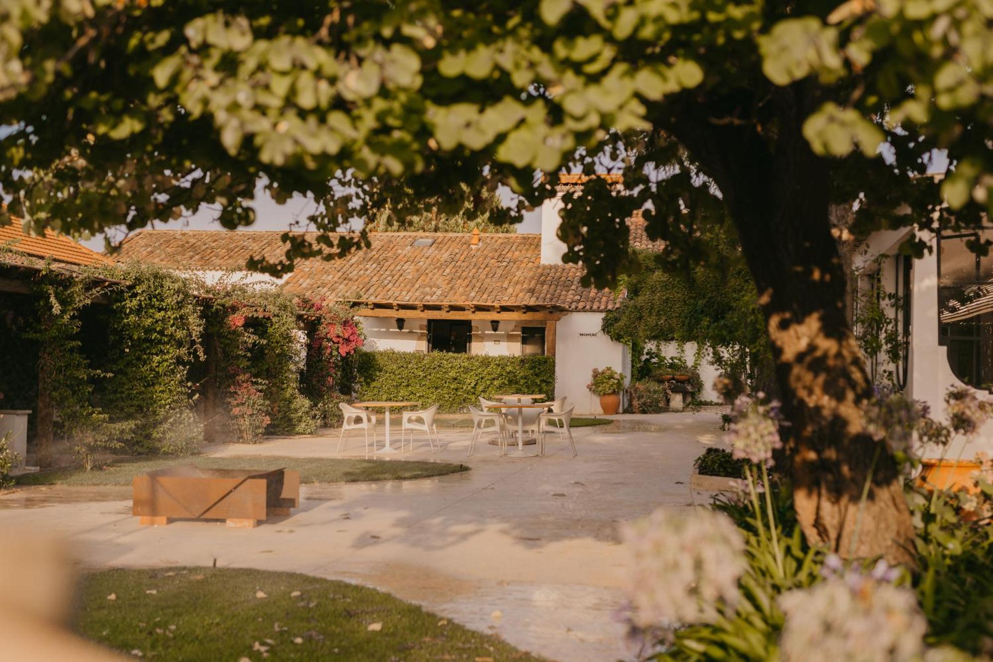 Готель Quinta Carvalhas - The Green Farm Casevel Екстер'єр фото