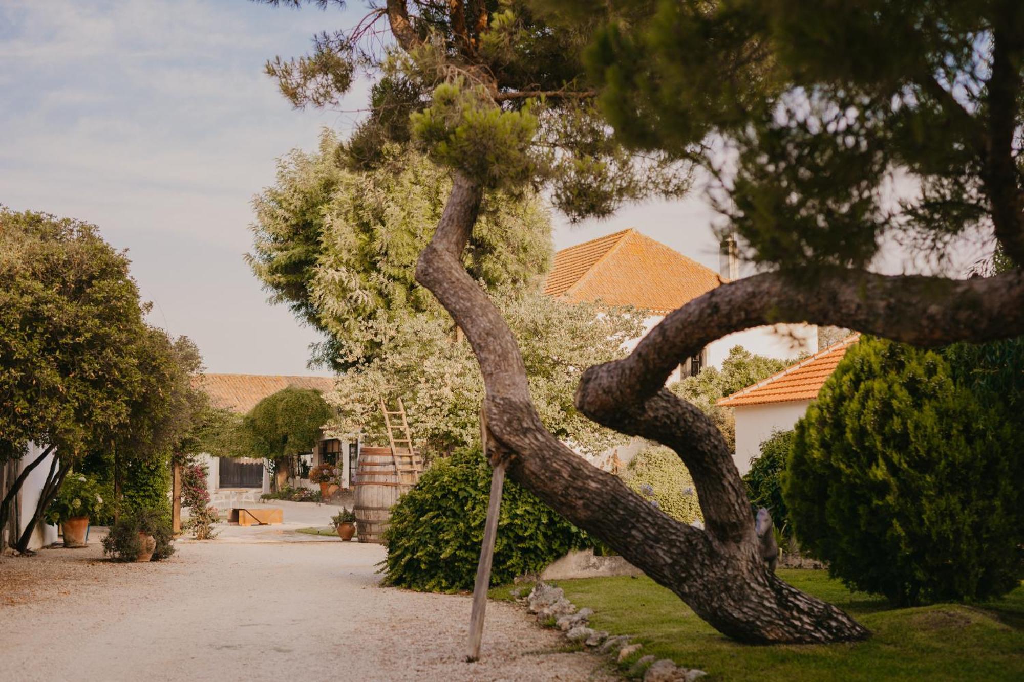 Готель Quinta Carvalhas - The Green Farm Casevel Екстер'єр фото